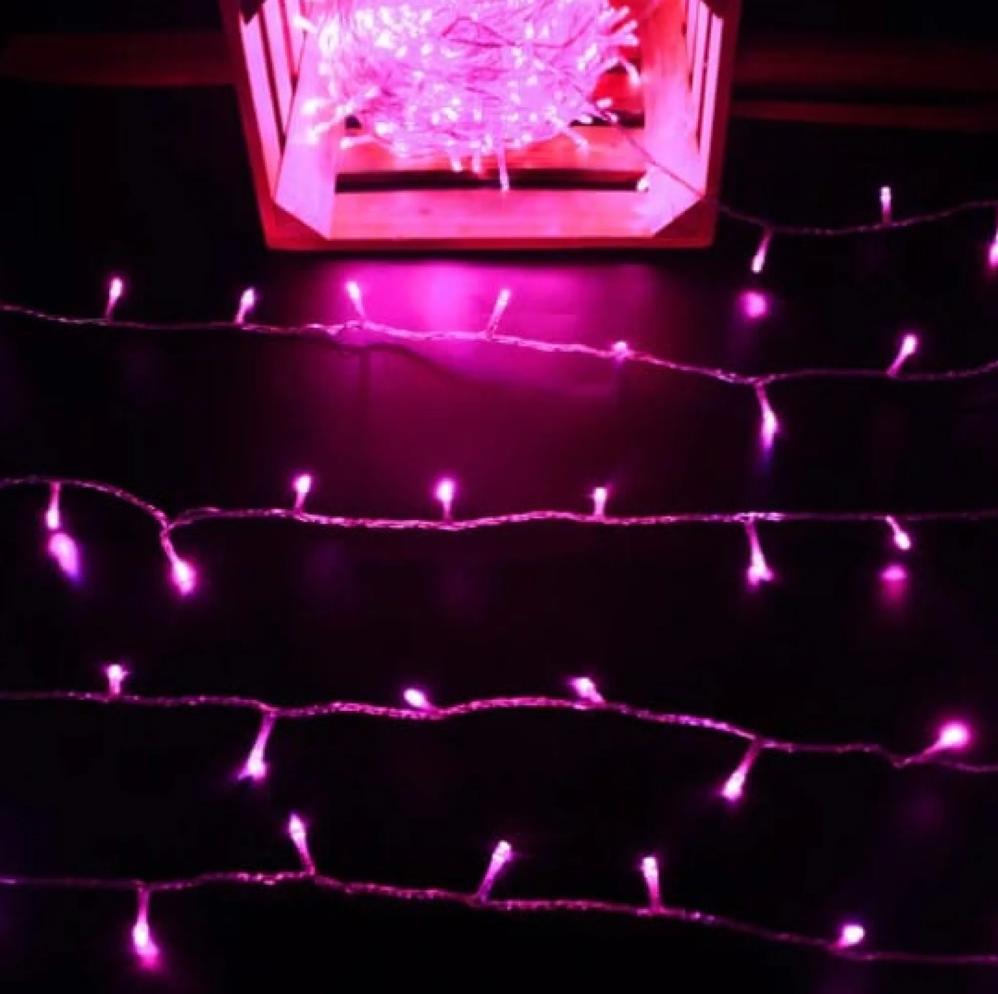 Fairy Lights>Christmas World 420 Led White/Blue And Pink Dual Colour Lights (33.5M)