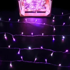 Fairy Lights><noscript><img width=