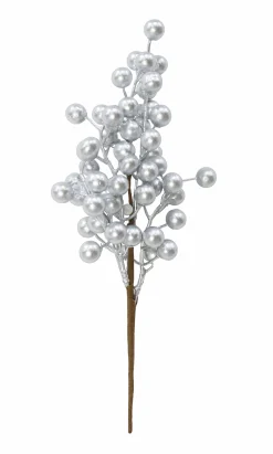 Pick & Berries><noscript><img width=