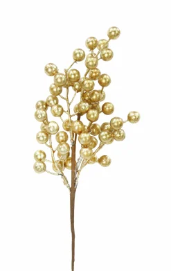 Pick & Berries><noscript><img width=