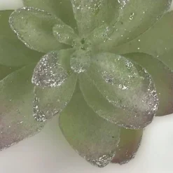 Pick & Berries><noscript><img width=