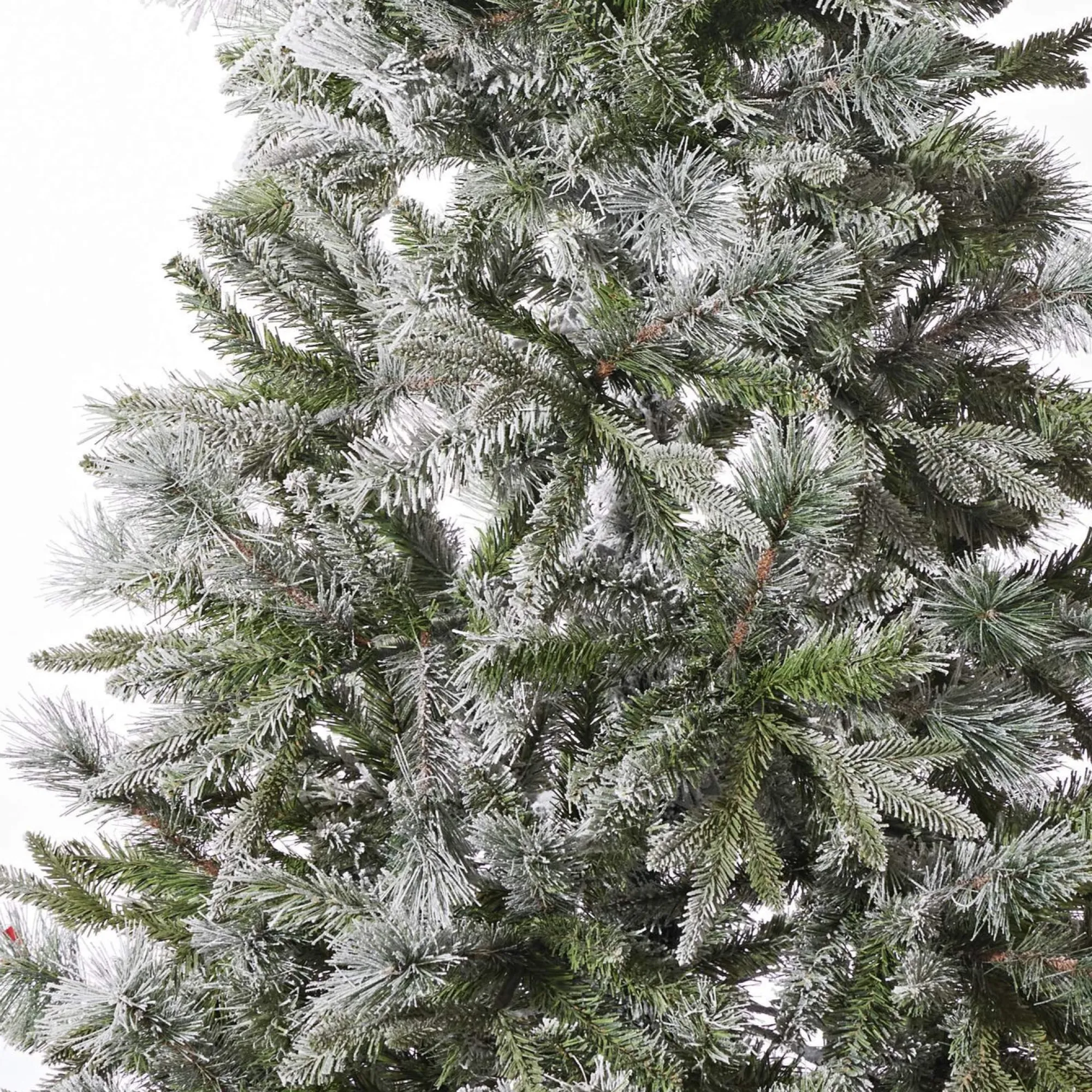Artificial Trees>Christmas World Fraser Fir Tree 6Ft (1.8M)
