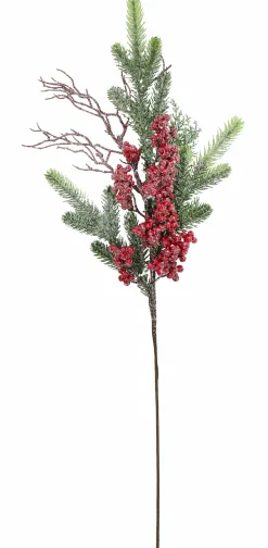 Pick & Berries><noscript><img width=