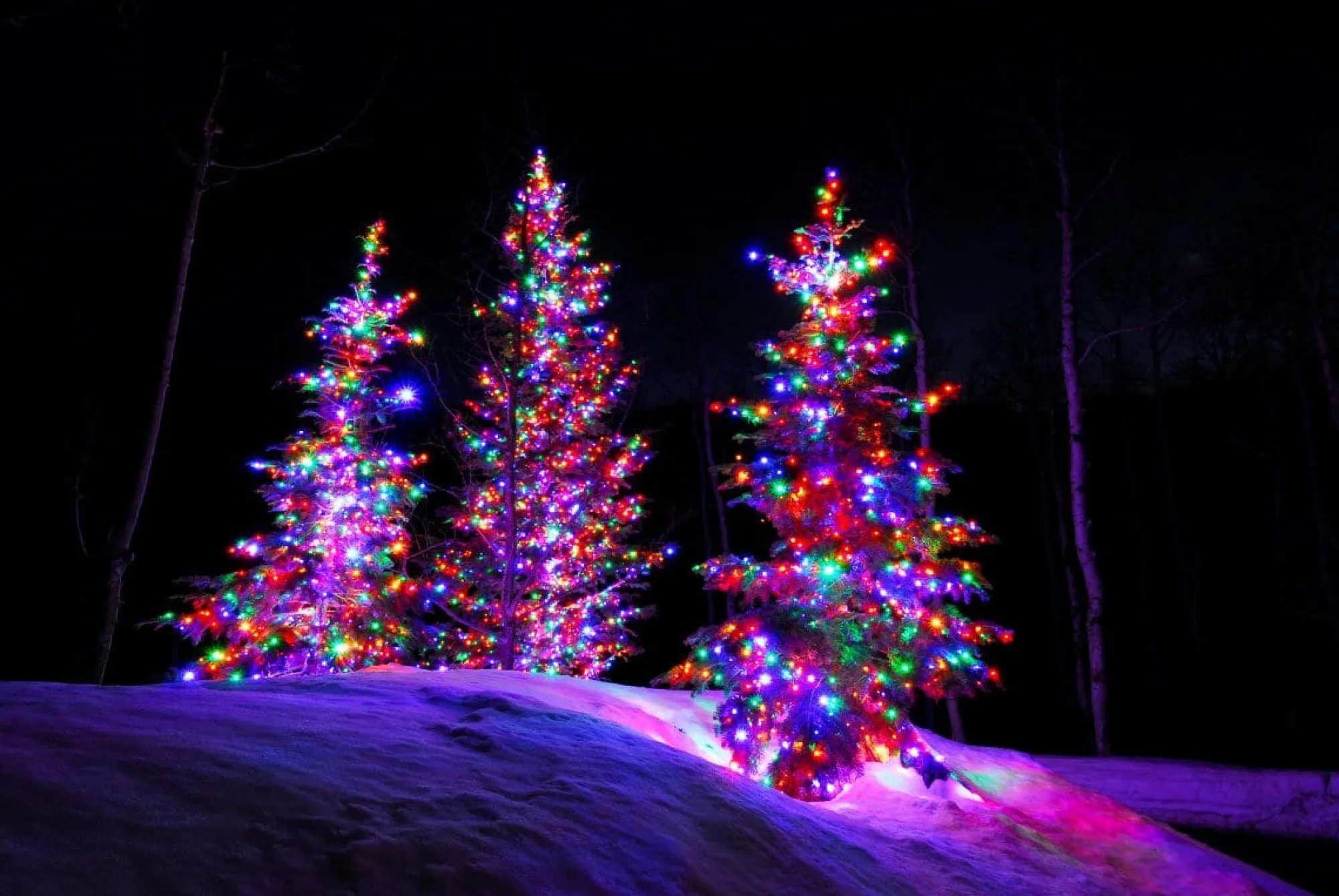 Fairy Lights>Christmas World Led Fairy Lights Multi (20M)