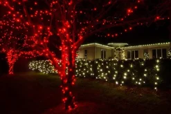 Fairy Lights><noscript><img width=