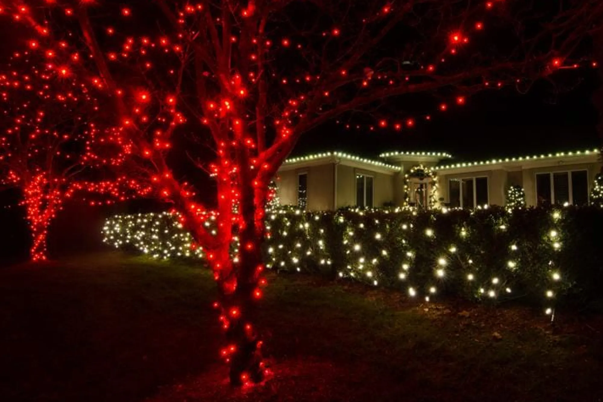 Fairy Lights>Christmas World Led Fairy Lights Red (40M)