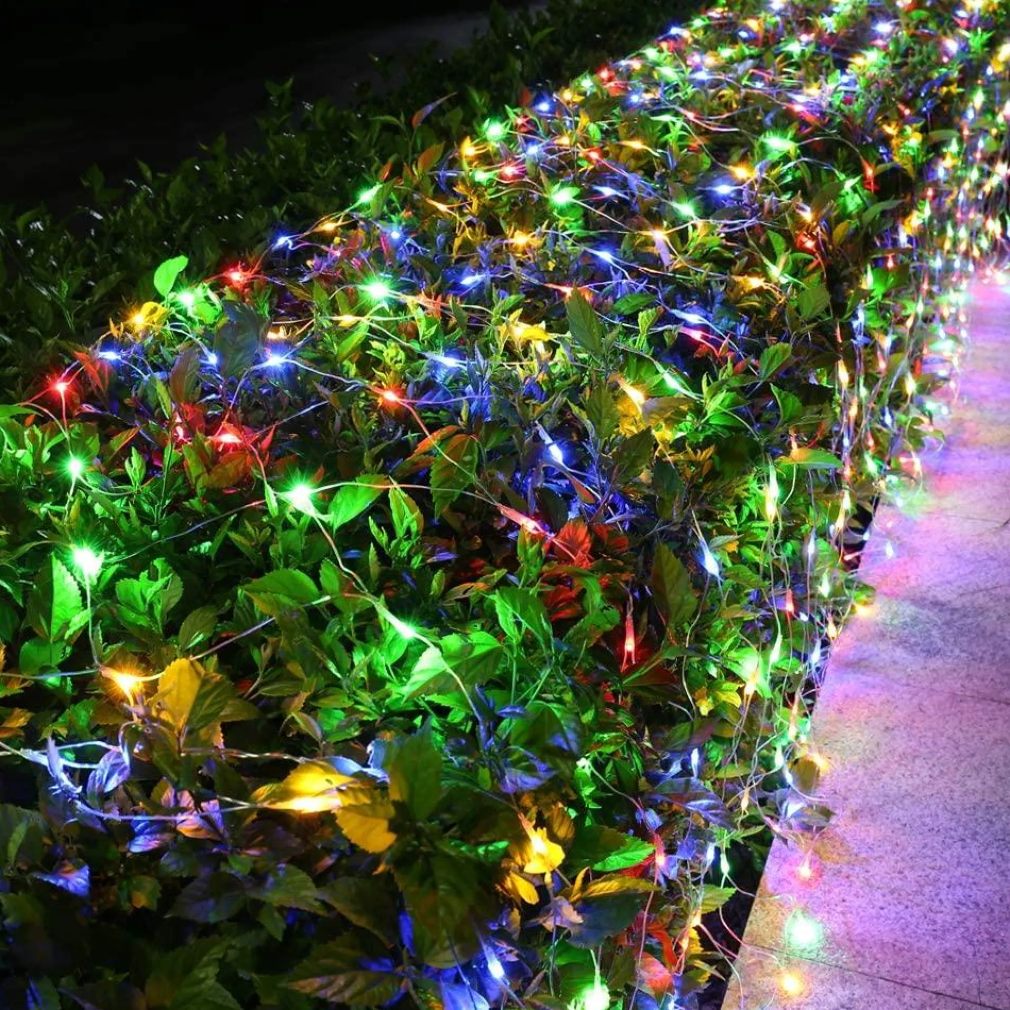 Net Lights>Christmas World Led Multicoloured Net Light (2.4M)