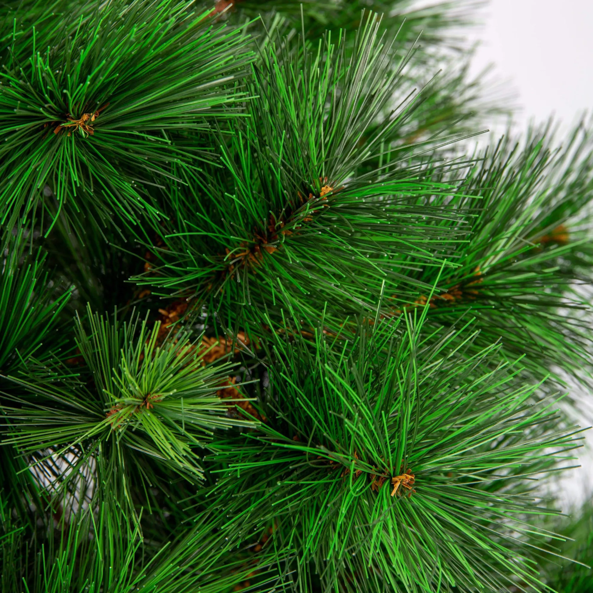 Artificial Trees>Christmas World Natural Royal Pine Tree 8Ft/2.4M