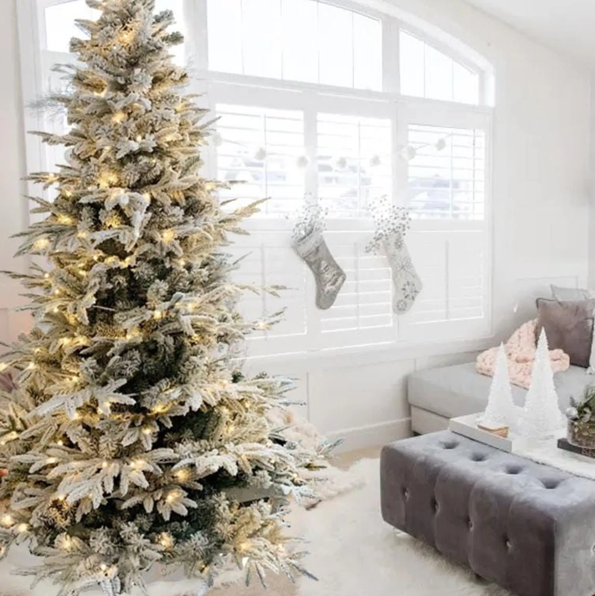 Artificial Trees>Christmas World Pre-Lit Flocked Fir Tree 7Ft (2.1M)