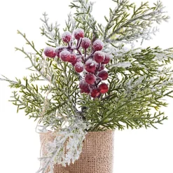 Potted & Table Top Trees><noscript><img width=