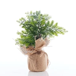 Potted & Table Top Trees><noscript><img width=