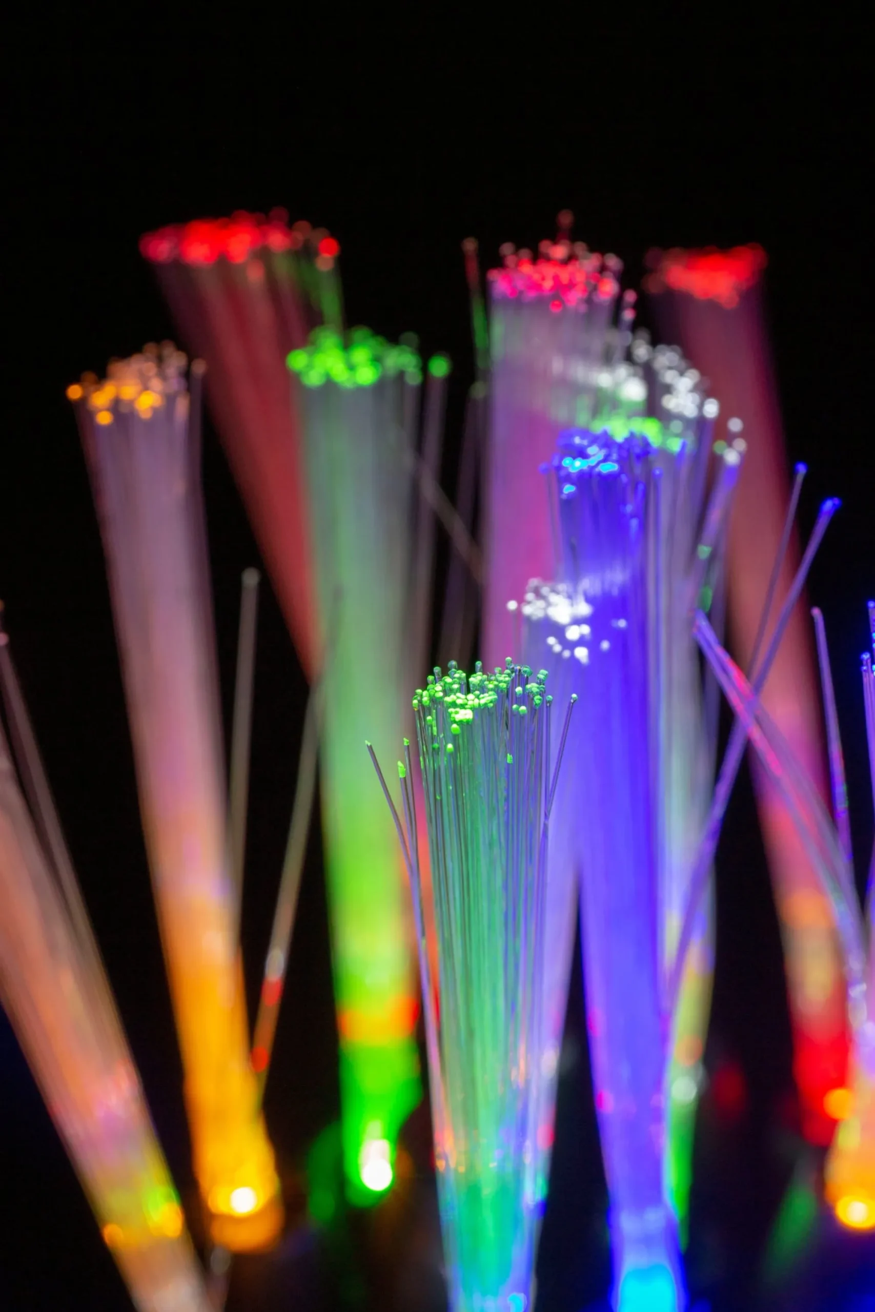 Solar Lights>Christmas World Solar Garden Sprays (20Pcs)